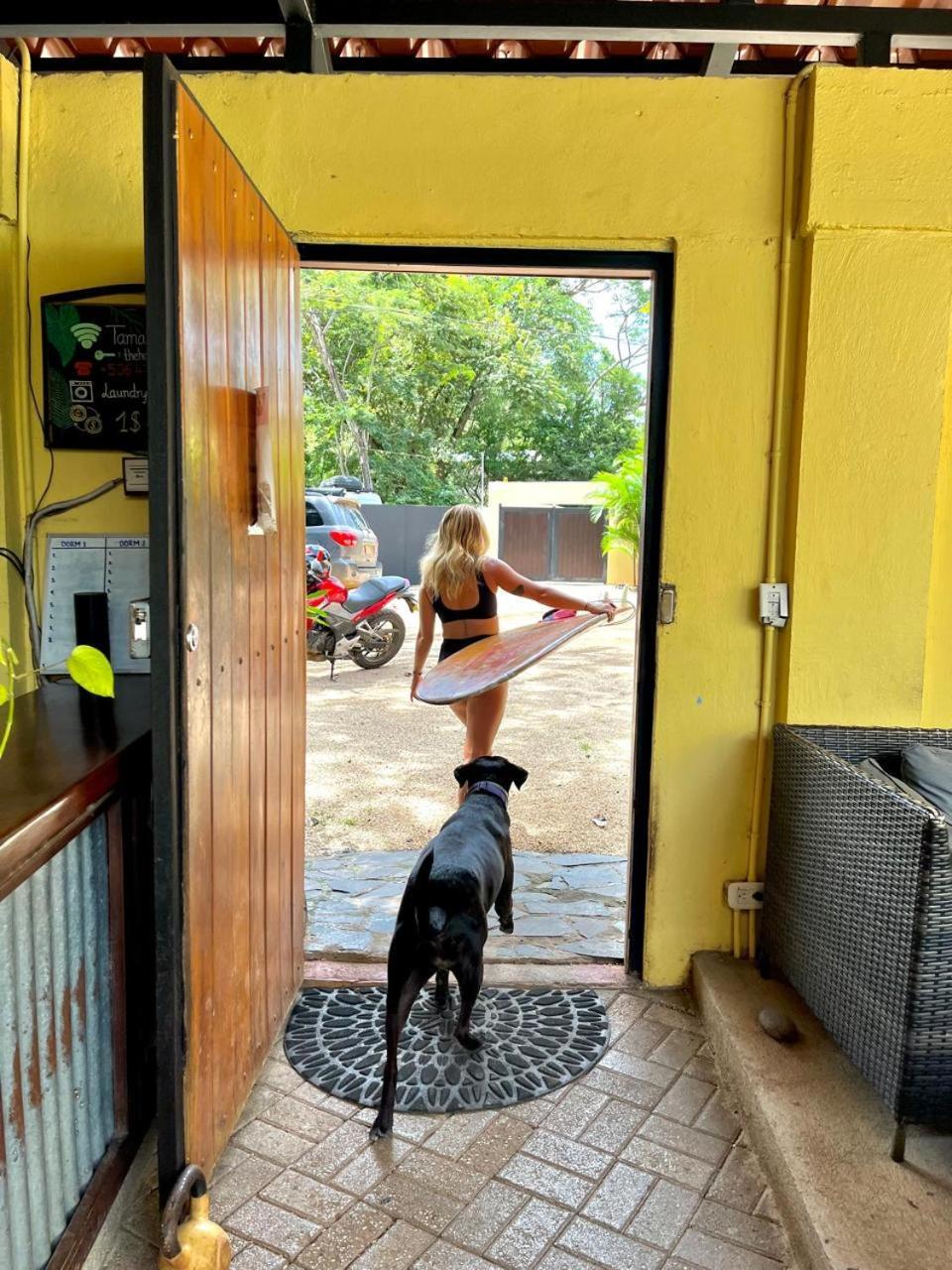 Ostello Tamarindo Backpackers Esterno foto