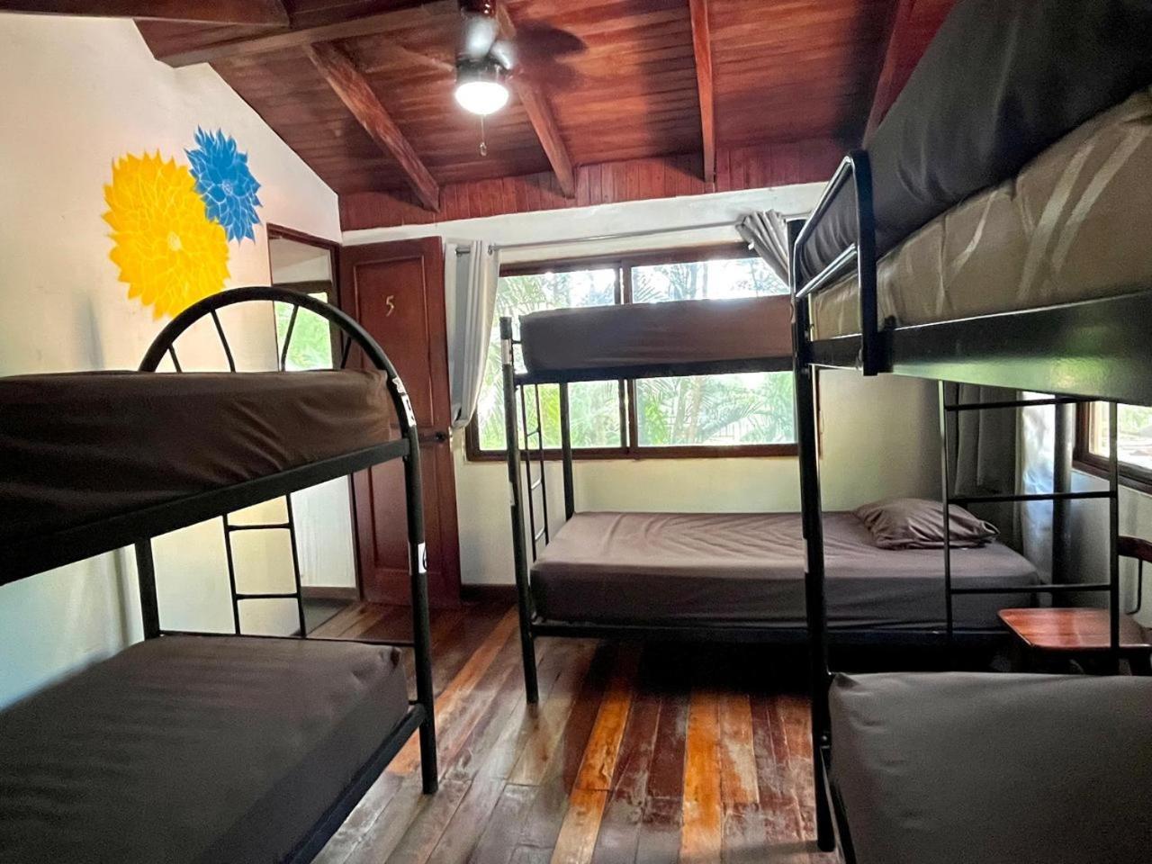 Ostello Tamarindo Backpackers Esterno foto